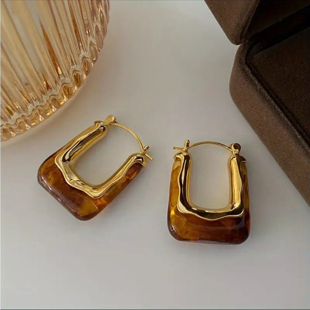 Elegant Gold and Brown Hoop Earrings